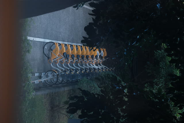 攝影比賽作品 22